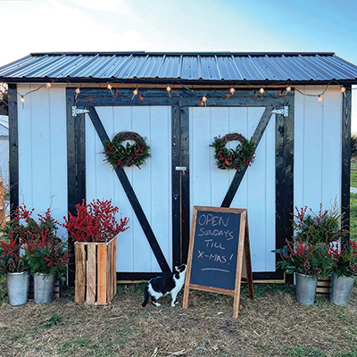 Flower farmstand:  If you build it, they will come